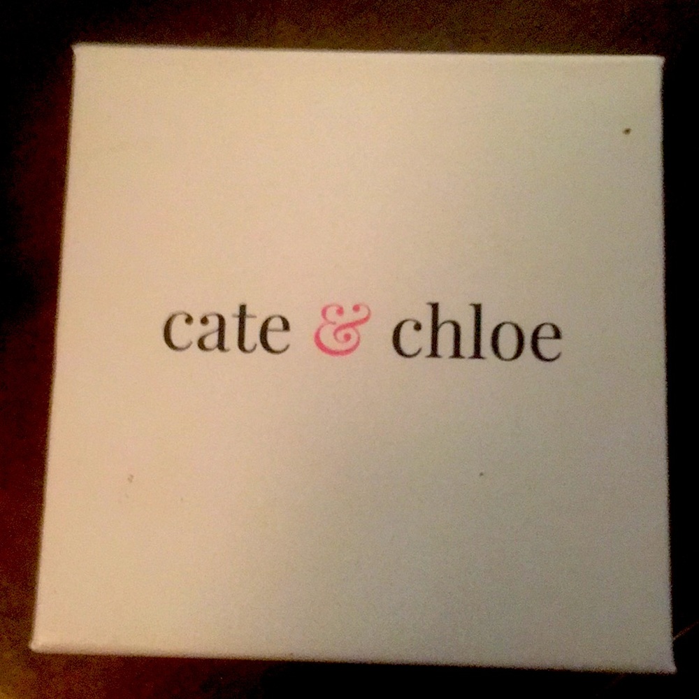 Cate&Chloe white gold hoop earrings